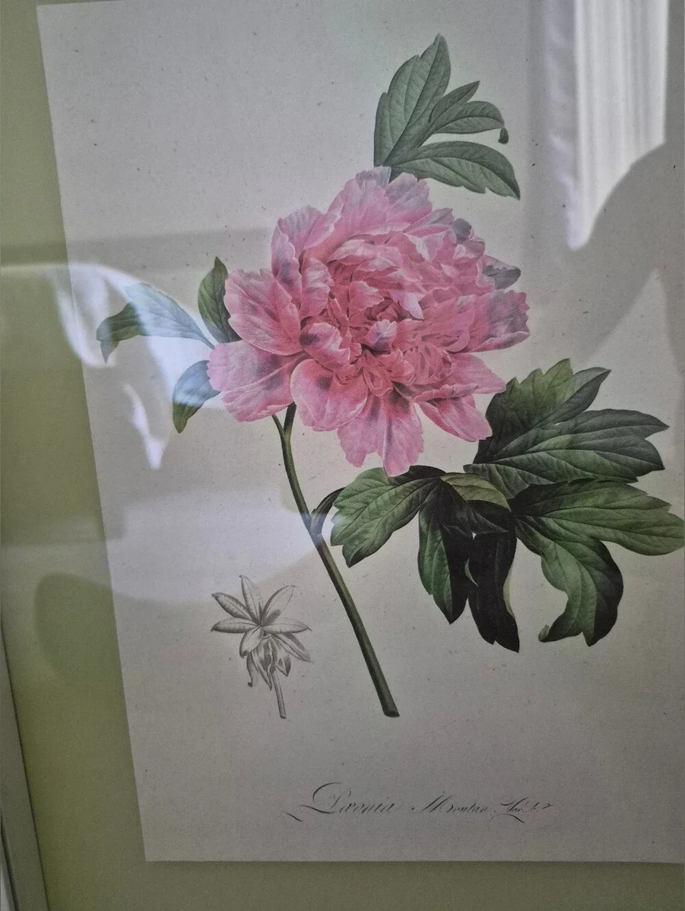 Seft Ikea Bispgarden White Framed Wall Art Pink Green Floral Motif